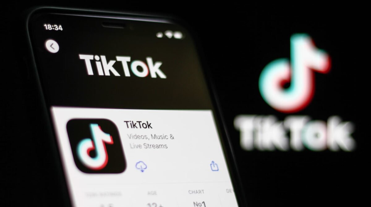 Download TikTok Videos